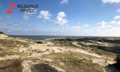 Калининградцы создали петицию против уничтожения дюн в Зеленоградске - fedpress.ru - Калининград - Калининградская обл. - Зеленоградск