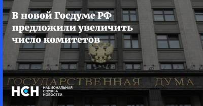 Владимир Путин - Александр Жуков - В новой Госдуме РФ предложили увеличить число комитетов - nsn.fm - Россия - Парламент