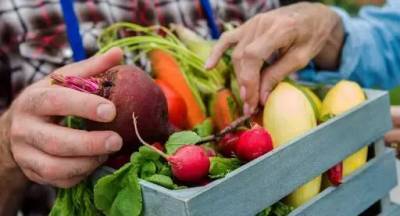 Продукти проти інсульту: 3 зміни в харчуванні, які знижують ризик - w-n.com.ua