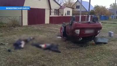 В Башкирии водитель, насмерть сбивший двух пешеходов, сдался полиции - bash.news - Башкирия