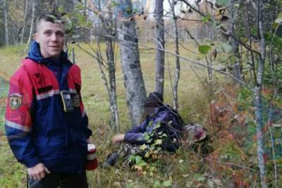 В сезон грибов в лесах Ленобласти заблудились 160 человек - mk.ru - Ленинградская обл.
