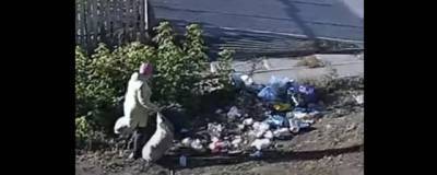 Мэр Елабуги показал горожанам женщину, устроившую свалку мусора на улице Гассара - runews24.ru - Россия