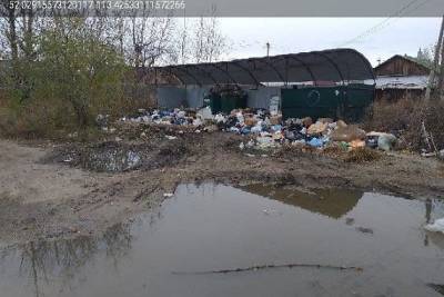 Свалка образовалась в одном из дворов Читы из-за лужи — мусоровоз не может подъехать - chita.ru - Чита - район Железнодорожный