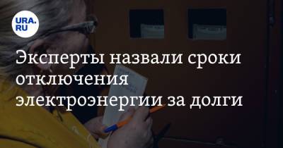 Мария Спиридонова - Эксперты назвали сроки отключения электроэнергии за долги - ura.news