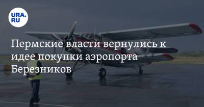 Дмитрий Махонин - Пермские власти вернулись к идее покупки аэропорта Березников - ura.news - Пермский край