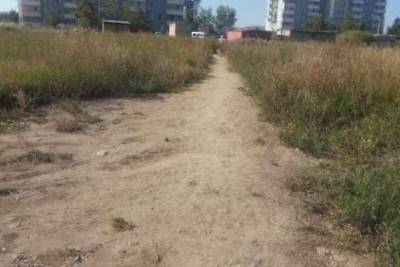Дорогу через поле от улицы Автостроителей не будут асфальтировать — она незаконная - chita.ru - Чита