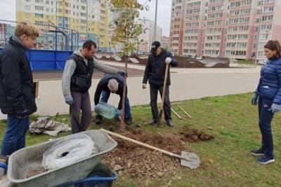 В Иванове, в микрорайоне Московский высадили спиреи и яблони - mkivanovo.ru - Иваново