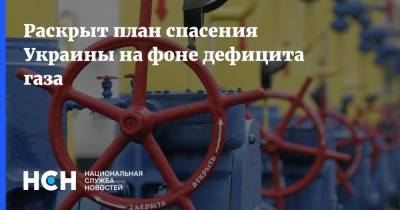 Раскрыт план спасения Украины на фоне дефицита газа - nsn.fm - Украина