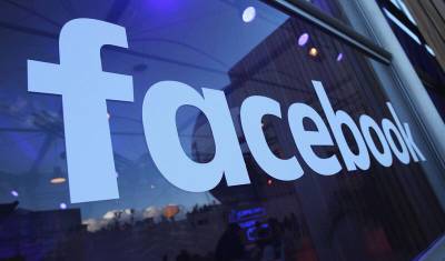 Екатерина Мизулина - Facebook удалил запрещенный контент по требованию российских властей - newizv.ru - Россия