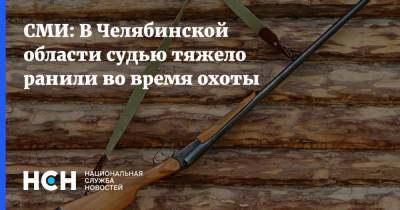 СМИ: В Челябинской области судью тяжело ранили во время охоты - nsn.fm - Челябинская обл.