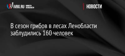 В сезон грибов в лесах Ленобласти заблудились 160 человек - ivbg.ru - Украина - Ленинградская обл.