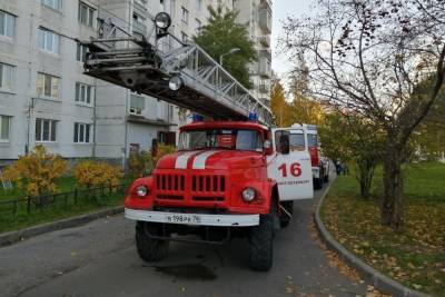 Петербуржец погиб при пожаре в двухкомнатной квартире на Крыленко - spb.mk.ru - Россия - Санкт-Петербург