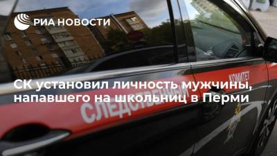 СК установил личность мужчины, который напал на двух школьниц в Перми - ria.ru - Пермь