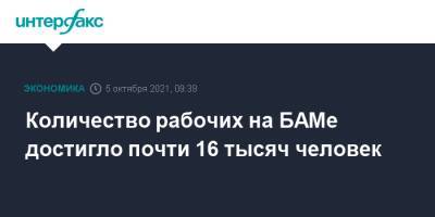Количество рабочих на БАМе достигло почти 16 тысяч человек - interfax.ru - Москва - Россия