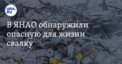 В ЯНАО обнаружили опасную для жизни свалку - ura.news - окр. Янао