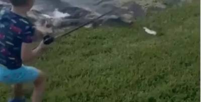 Аллигатор отобрал у семилетнего рыбака рыбу и удочку — шокирующее видео - w-n.com.ua - USA - шт.Флорида