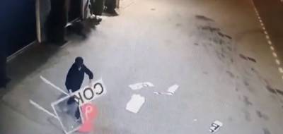 В Липецке задержали мужчину, сломавшего знак "Я люблю Сокол" - lipetskmedia.ru - Россия - Липецк