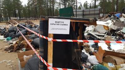 Дачники Муравленко пожаловались в прокуратуру на то, что их товарищество тонет в мусоре - znak.com