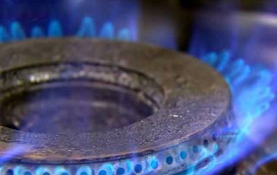 Андрей Спыну - Молдавия не желает платить за российский газ 790 долларов - topcor.ru - Москва - Россия - Молдавия - Румыния - Кишинев