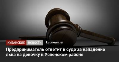 Предприниматель ответит в суде за нападение льва на девочку в Успенском районе - kubnews.ru - Краснодарский край - Следственный Комитет