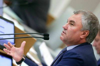 Вячеслав Володин - Володин: дистанционное образование не может заменить живого общения с учителем - pnp.ru - Россия