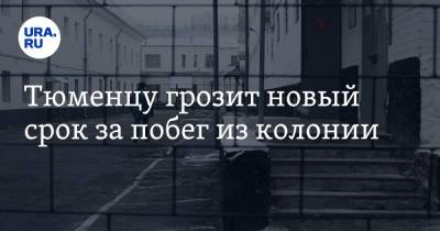 Тюменцу грозит новый срок за побег из колонии - ura.news - Россия - Тюмень - Тюменская обл.