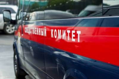 СК установил личность мужчины, ударившего школьниц в Перми - aif.ru - Пермь