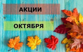 Осень – время скидок! - vologda-poisk.ru - Вологда