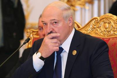 Александр Лукашенко - Лукашенко назвал способ забыть про польские яблоки - lenta.ru - Белоруссия