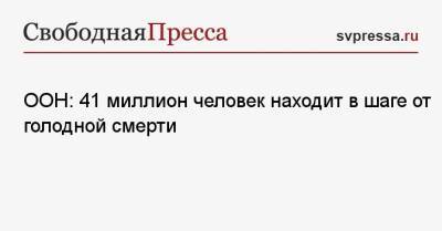 Дэвид Бисли - ООН: 41 миллион человек находит в шаге от голодной смерти - svpressa.ru - Япония