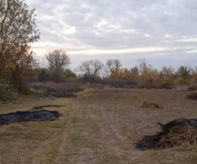 На Луганщине мужчина получил смертельные ожоги, когда палил траву - vchaspik.ua - Украина - район Сватовской