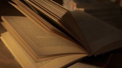 Александра Маринина рассказала о выходе новой книги - vm.ru
