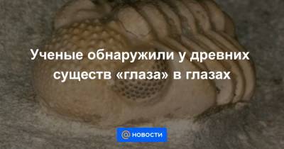 Ученые обнаружили у древних существ «глаза» в глазах - news.mail.ru