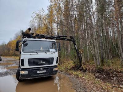 Региональный оператор Севера ликвидировал несанкционированную свалку в лесном массиве Ухты - bnkomi.ru