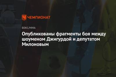 Владимир Соловьев - Виталий Милонов - Никита Джигурда - Сергей Жорин - Александр Емельяненко - Опубликованы фрагменты боя между шоуменом Джигурдой и депутатом Милоновым - championat.com