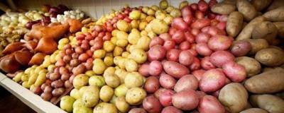 До 100 рублей за кг может подорожать картофель в Волгоградской области - runews24.ru - Волгоградская обл.