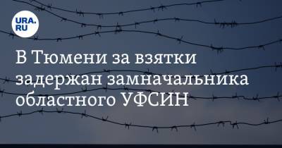 В Тюмени за взятки задержан замначальника областного УФСИН - ura.news - Россия - Тюмень - Тюменская обл.