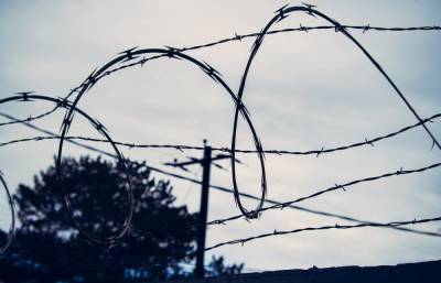 Осужденного уличили в демонстрации экстремистской символики в колонии в Тверской области - afanasy.biz - Москва - Россия - Эстония - Тверь - Тверская обл.