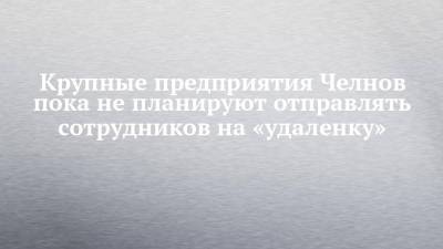 Крупные предприятия Челнов пока не планируют отправлять сотрудников на «удаленку» - chelny-izvest.ru - Набережные Челны