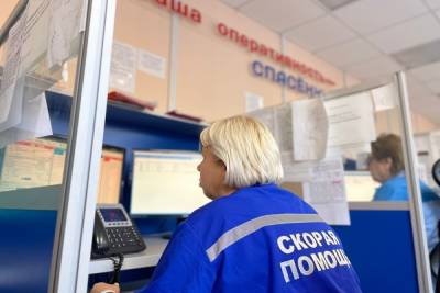 Андрей Никитин - Неотложку в Новгородчине вызвали за сутки почти 650 раз - mk.ru - Новгородская обл.