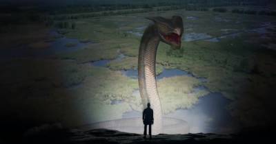 Анаконда на Алтае: водятся ли в России гигантские змеи - ren.tv - Россия - Алтайский край - респ. Алтай - Индия