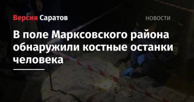 В поле Марксовского района обнаружили костные останки человека - nversia.ru - Саратовская обл. - район Марксовский