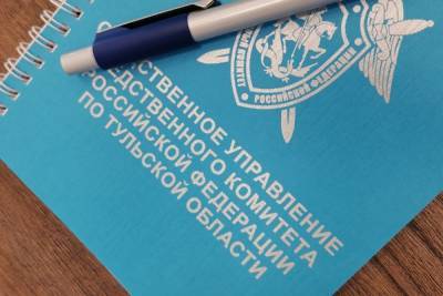 Тульские следователи возбудили уголовное дело по факту инцидента с мальчиком, к которому неделю не приезжал врач - tula.mk.ru - Россия - Тула - Тульская обл.