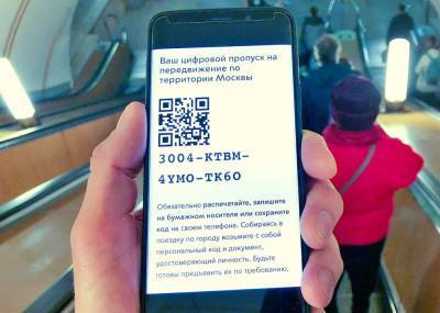 Владимир Путин - Татьяна Голикова - Голикова рекомендовала всем регионам использовать QR-коды - newsland.com - Россия
