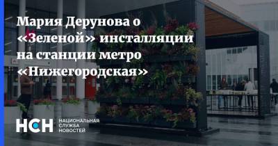 Мария Дерунова о «Зеленой» инсталляции на станции метро «Нижегородская» - nsn.fm - Москва