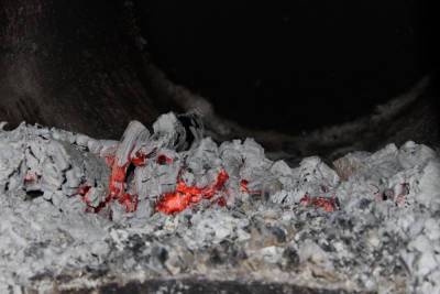В Плесецком районе от отравления угарным газом погиб мужчина - arh.mk.ru - Новодвинск - район Плесецкий