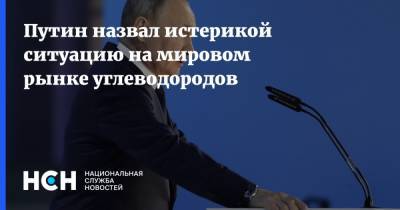 Владимир Путин - Анатолий Чубайс - Путин назвал истерикой ситуацию на мировом рынке углеводородов - nsn.fm - Россия - Европа
