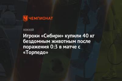Игроки «Сибири» купили 40 кг бездомным животным после поражения 0:3 в матче с «Торпедо» - championat.com - Нижний Новгород