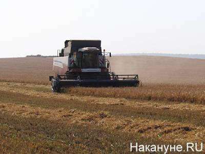 Минпромторг проведет дополнительный отбор по программе 1432 - nakanune.ru