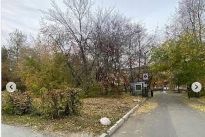 Неизвестный напал на участницу конкурса «Мисс Екатеринбург» - eburg.mk.ru - Екатеринбург